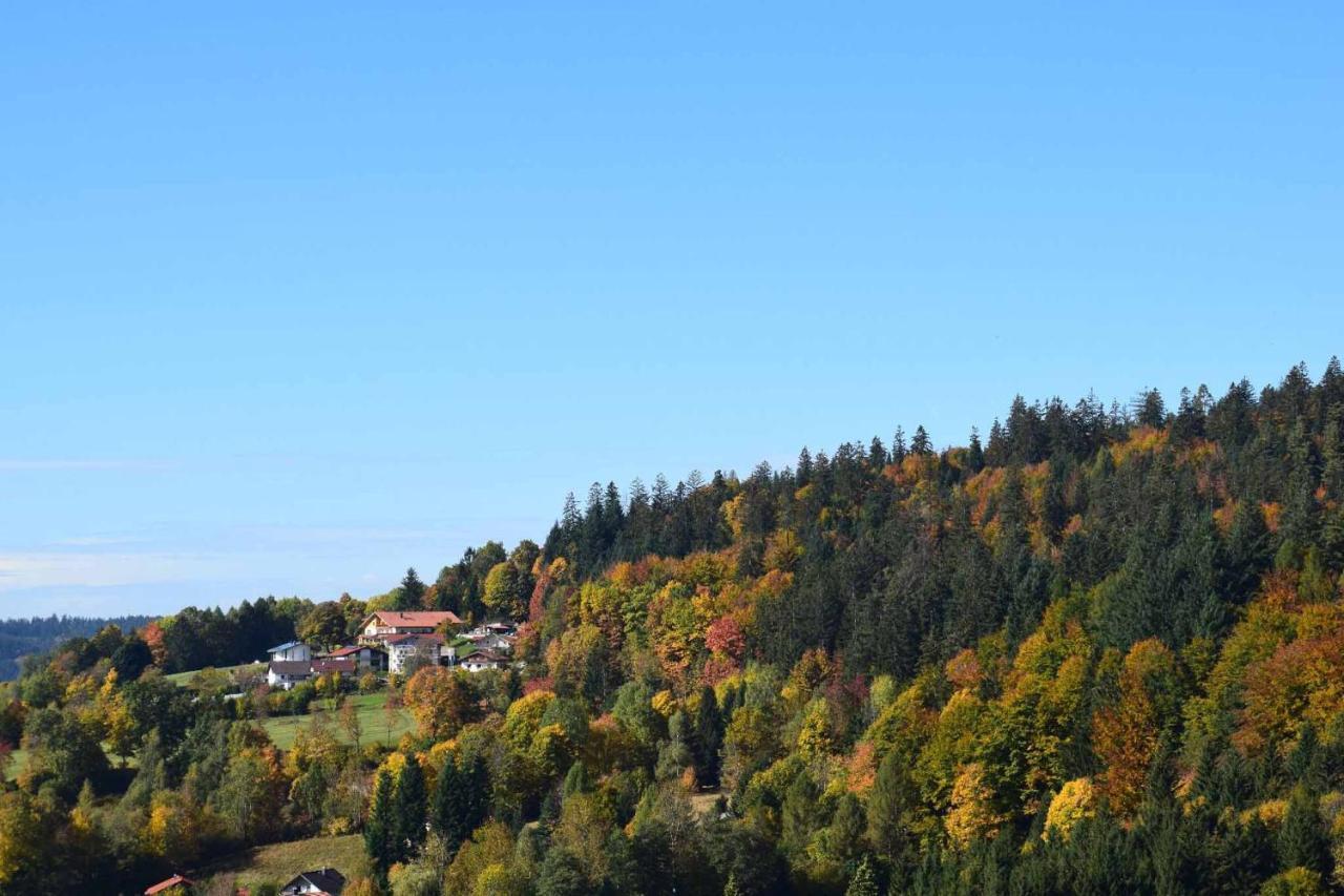 Ferienwohnungen Geiger Bodenmais Exteriér fotografie